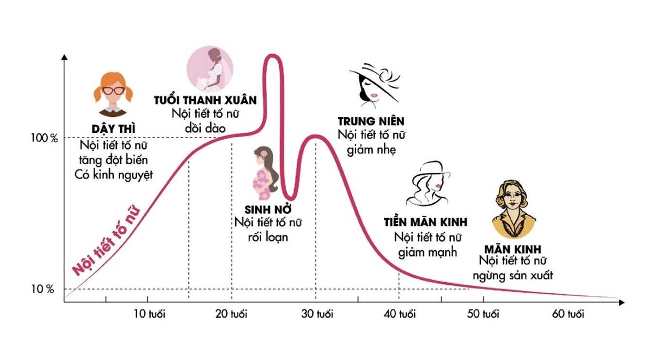 Nội tiết tố thay đổi