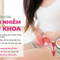 tong-hop-dau-hieu-canh-bao-benh-phu-khoa-nguy-hiem